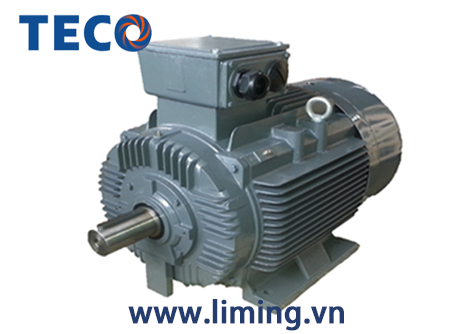 Motor TECO AESV 4P 1HP